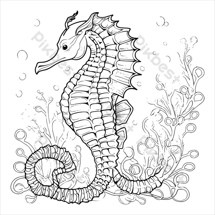 Beautiful seahorse coloring page for kids png images eps free download