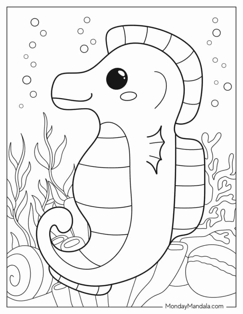 Seahorse coloring pages free pdf printables