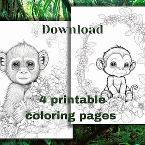 Monkey coloring page