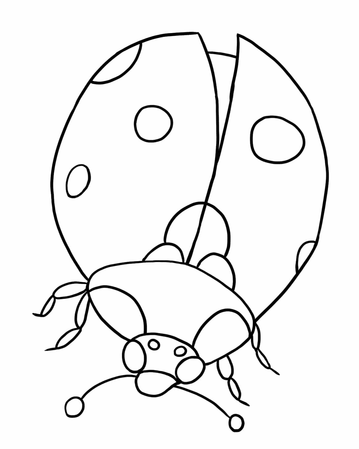 Ladybug coloring pages drawings