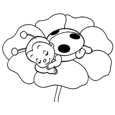 Ladybug coloring pages