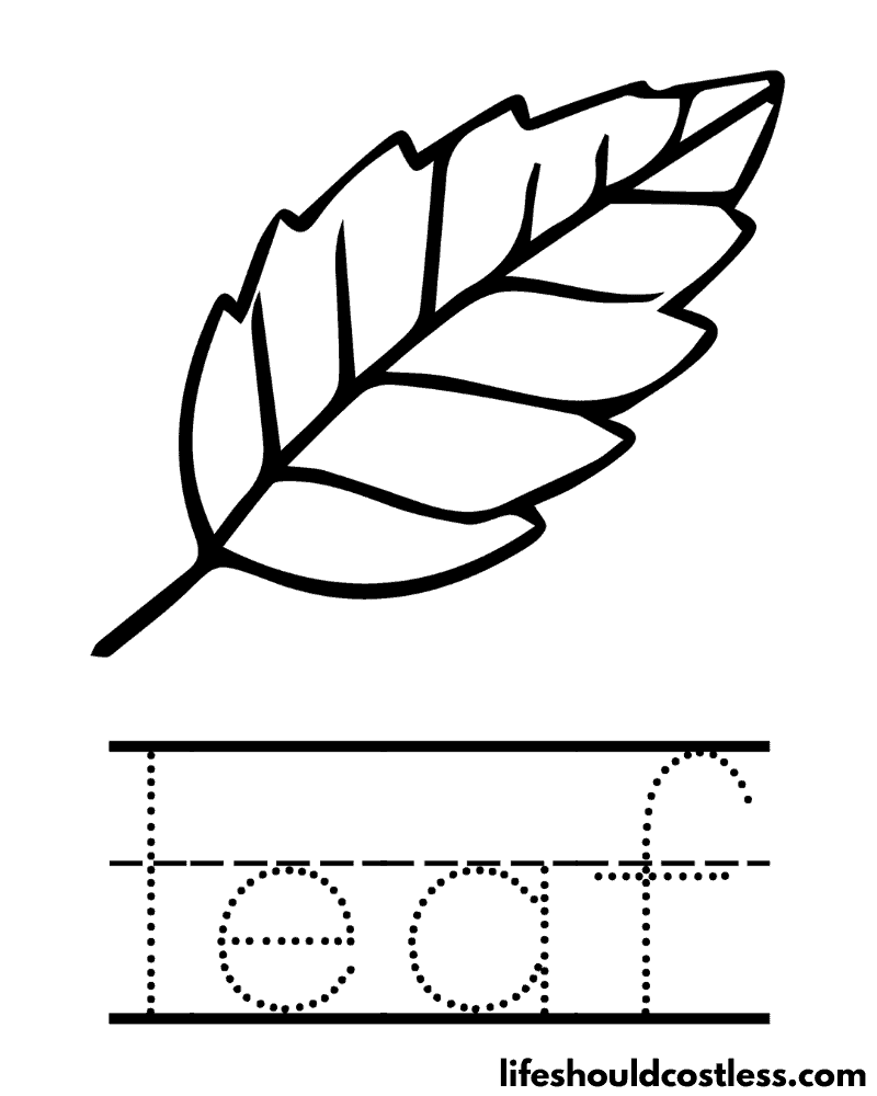 Leaf coloring pages free printable pdf templates