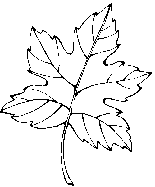 Leaf coloring pages â find the newest extraordinary coloring page ideas especially some topics related to lâ leaf coloring page autumn leaves art coloring pages
