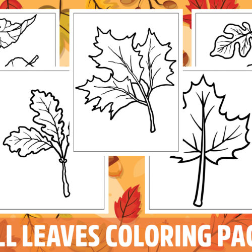 Fall leaves coloring pages for kids girls boys teens birthday school activity made by teachers