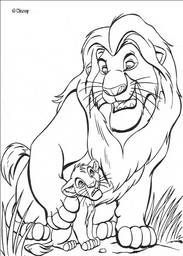 Lion coloring page