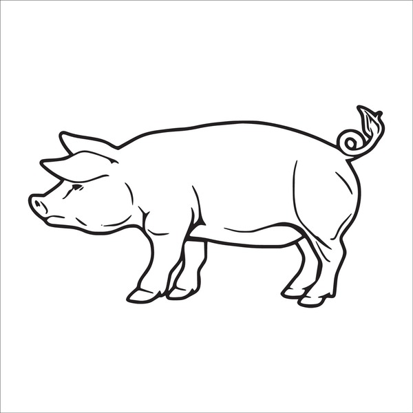 Imãgenes fotos de stock objetos en d y vectores sobre cartoon pig coloring page