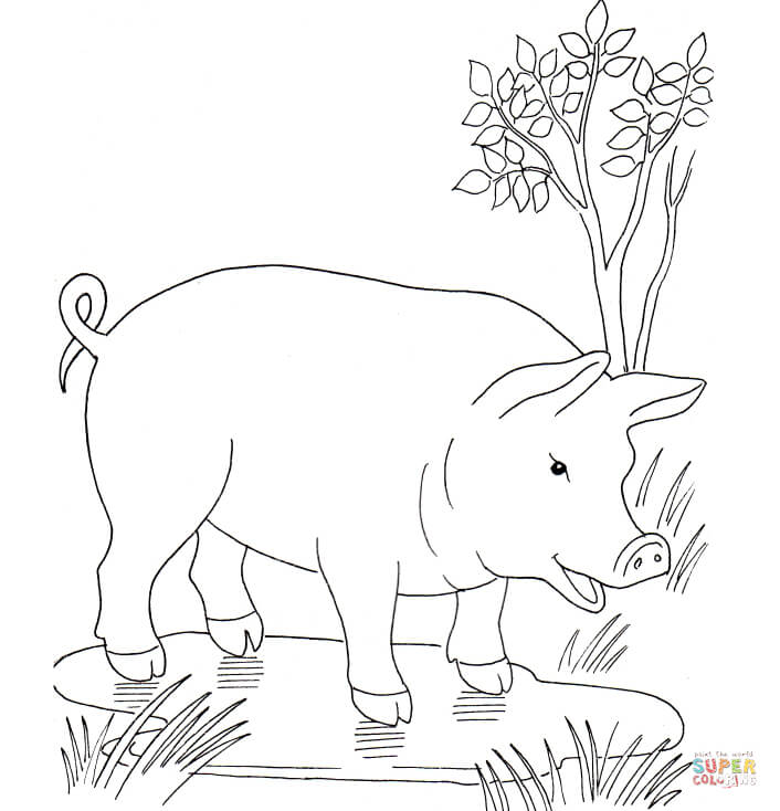 Pig in the puddle coloring page free printable coloring pages