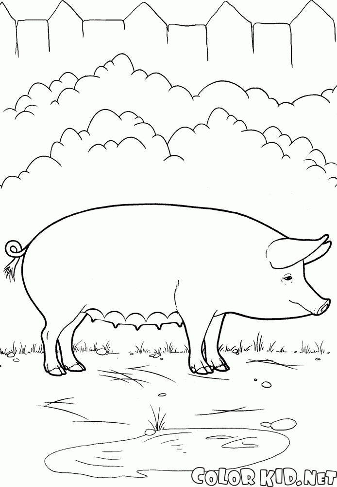 Coloring page