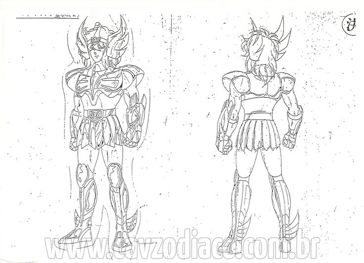 Settei hyoga de cisne saint seiya cdz cavaleiros do zodiaco