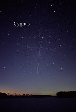 Cygnus constelaciãn