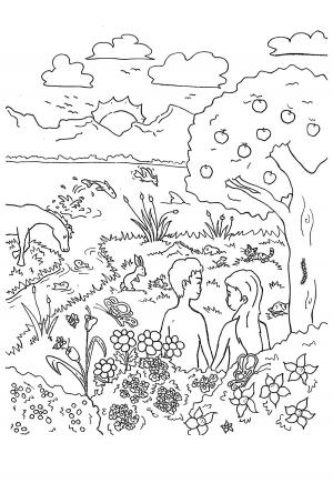 Free printable creation coloring pages sheets and pictures for adults and kids girls and boys