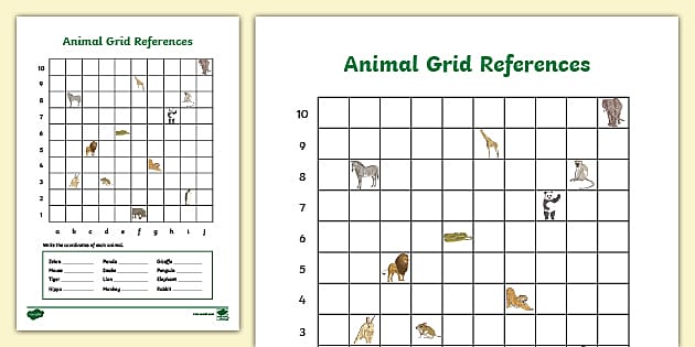 Animal grid references worksheet teacher made