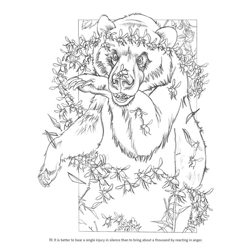 Libro de colorear charles santore aesops fables coloring book