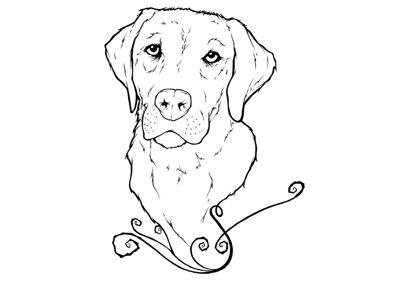 Labrador coloring pages