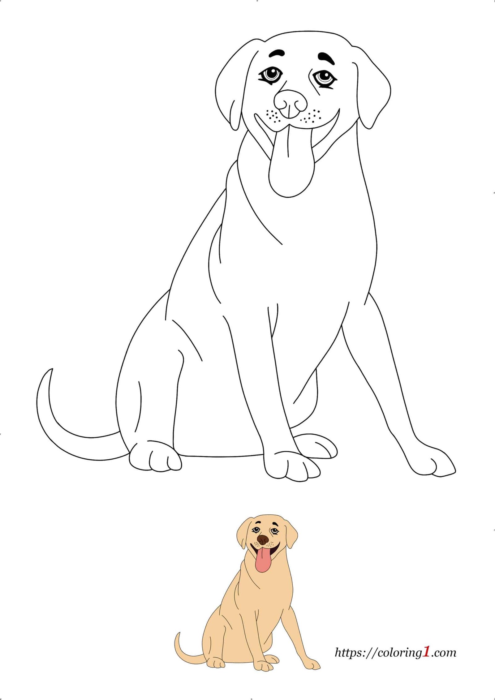 Lab dog coloring pages