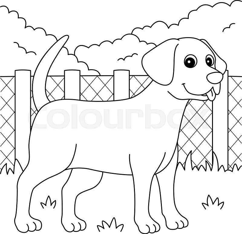 Chocolate lab dog coloring page for kids stock vector