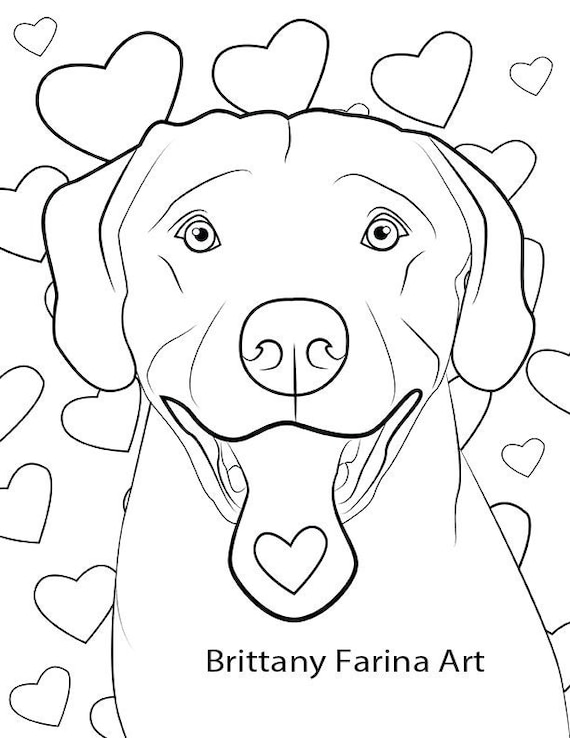 Dog coloring page lab coloring page dog