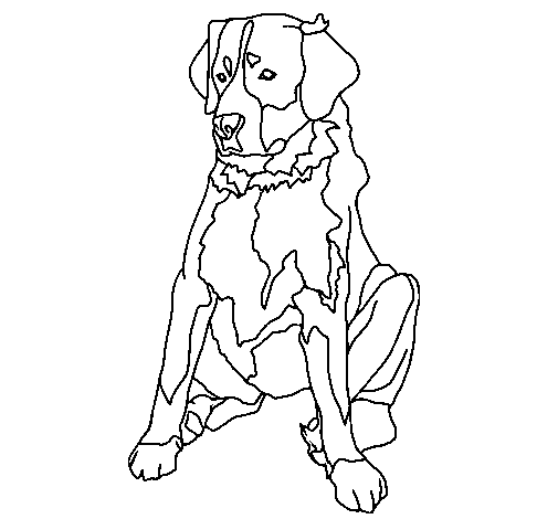 Labrador coloring page