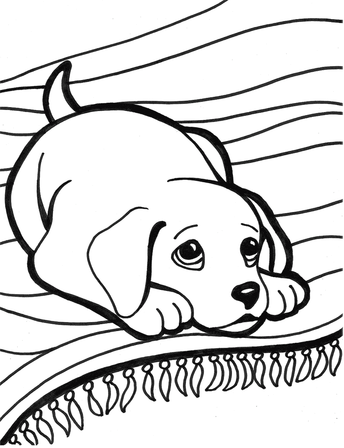 Labrador coloring pages