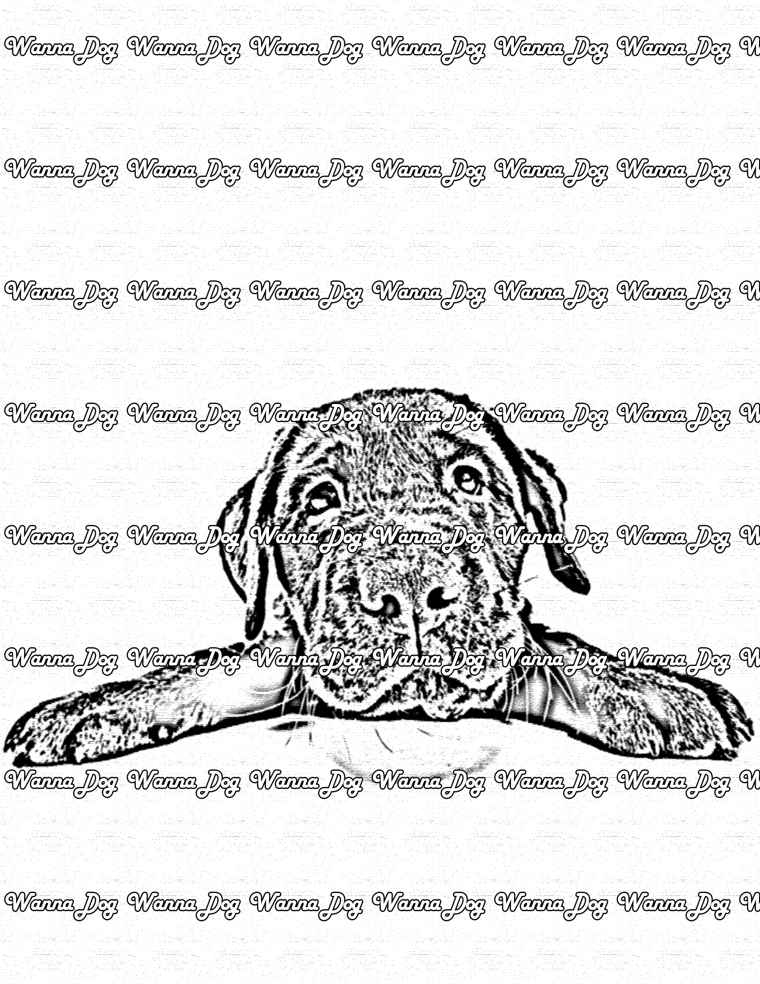 Lab puppy coloring pages â wanna dog