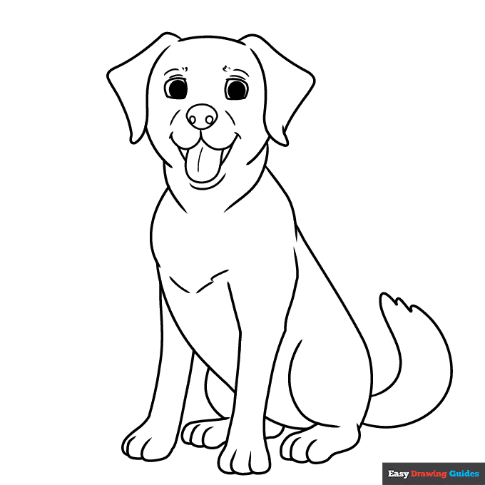 Labrador coloring page easy drawing guides