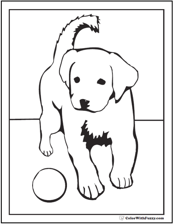 Dog coloring pages â breeds bones and dog houses