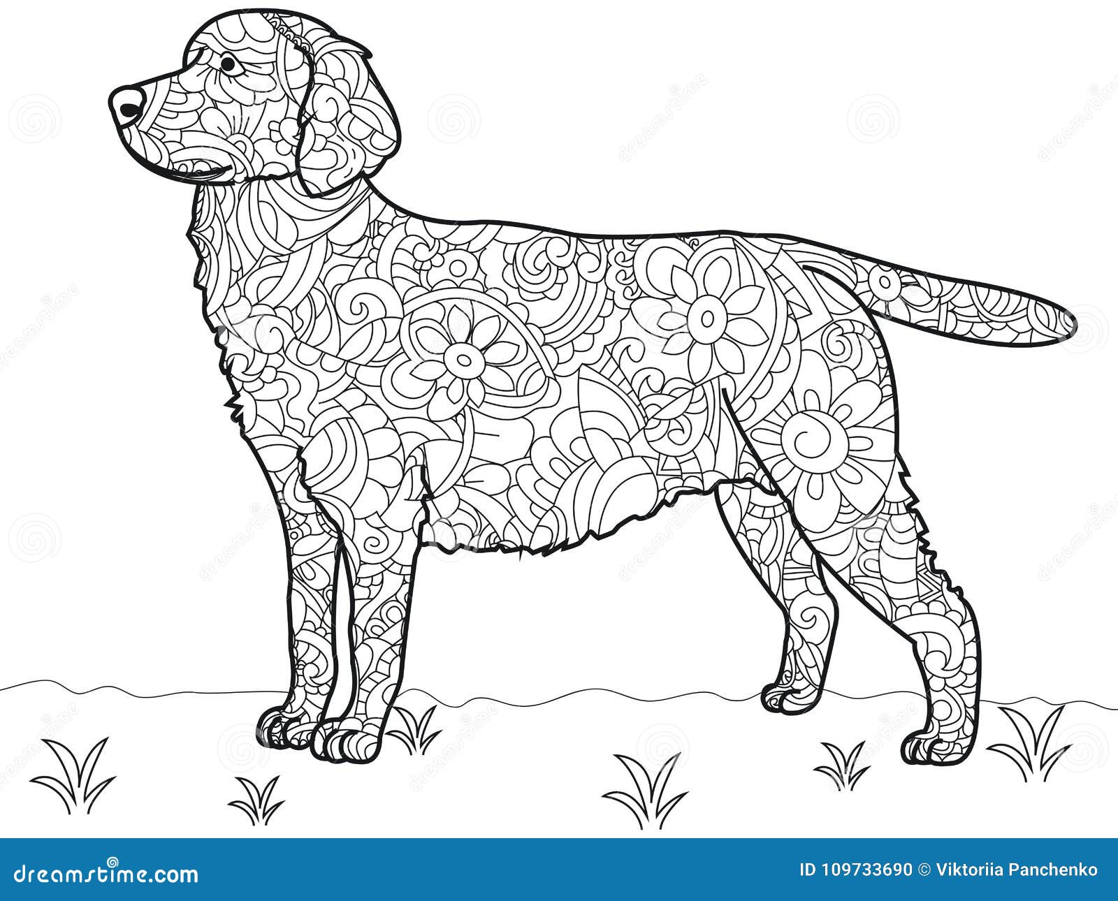 Colouring labrador stock illustrations â colouring labrador stock illustrations vectors clipart