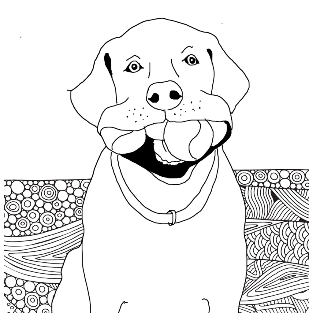 Labrador coloring book for adults printbook â monsoon publishing usa