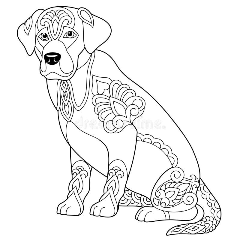 Colouring labrador stock illustrations â colouring labrador stock illustrations vectors clipart