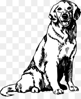 Retriever coloring pages png