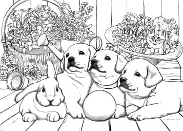 Puppies â favoreads coloring club