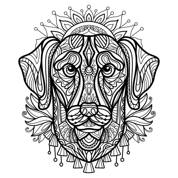 Coloring book page labrador dog vector illustration stock illustration