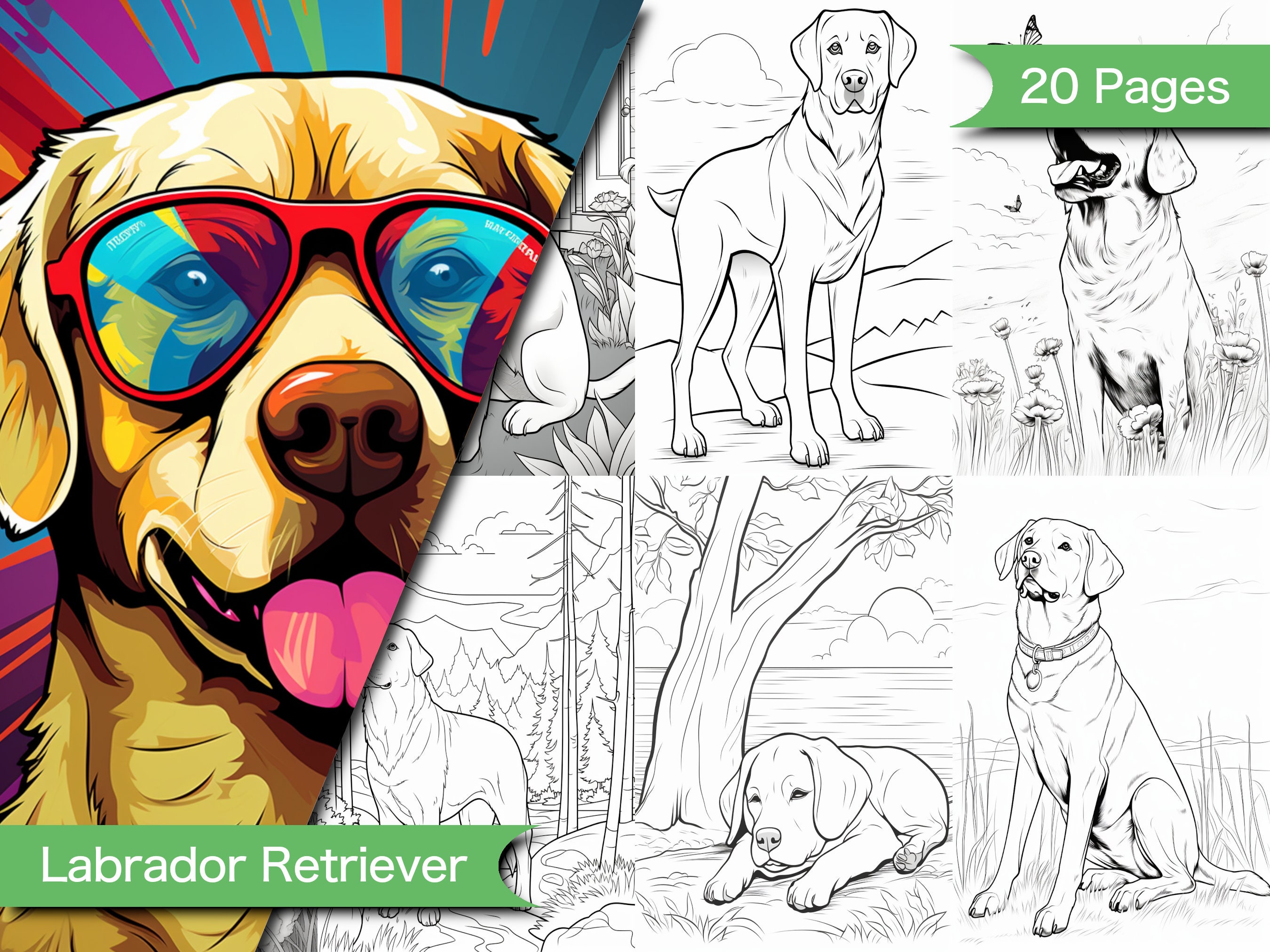 Printable labrador retriever coloring pages detailed designs for kids adults relaxing and creative activity