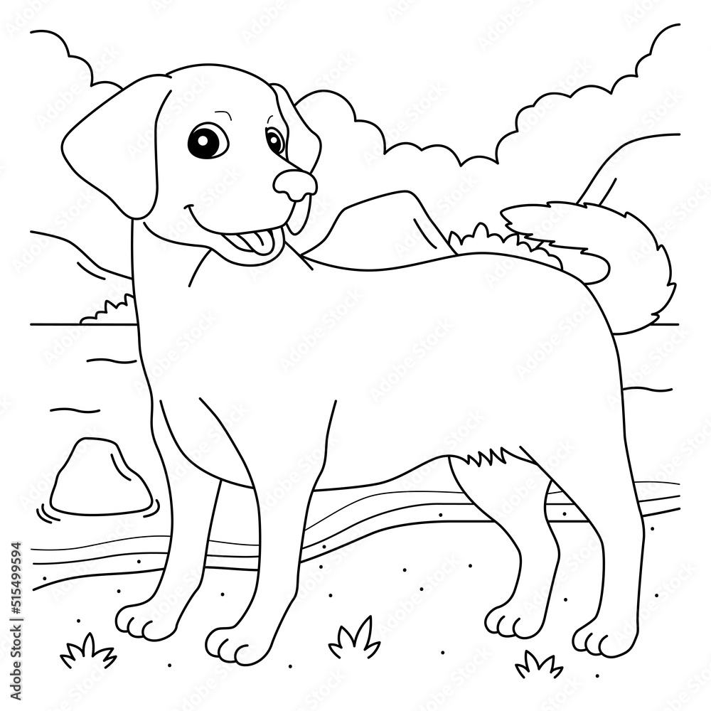 Labrador retriever dog coloring page for kids vector