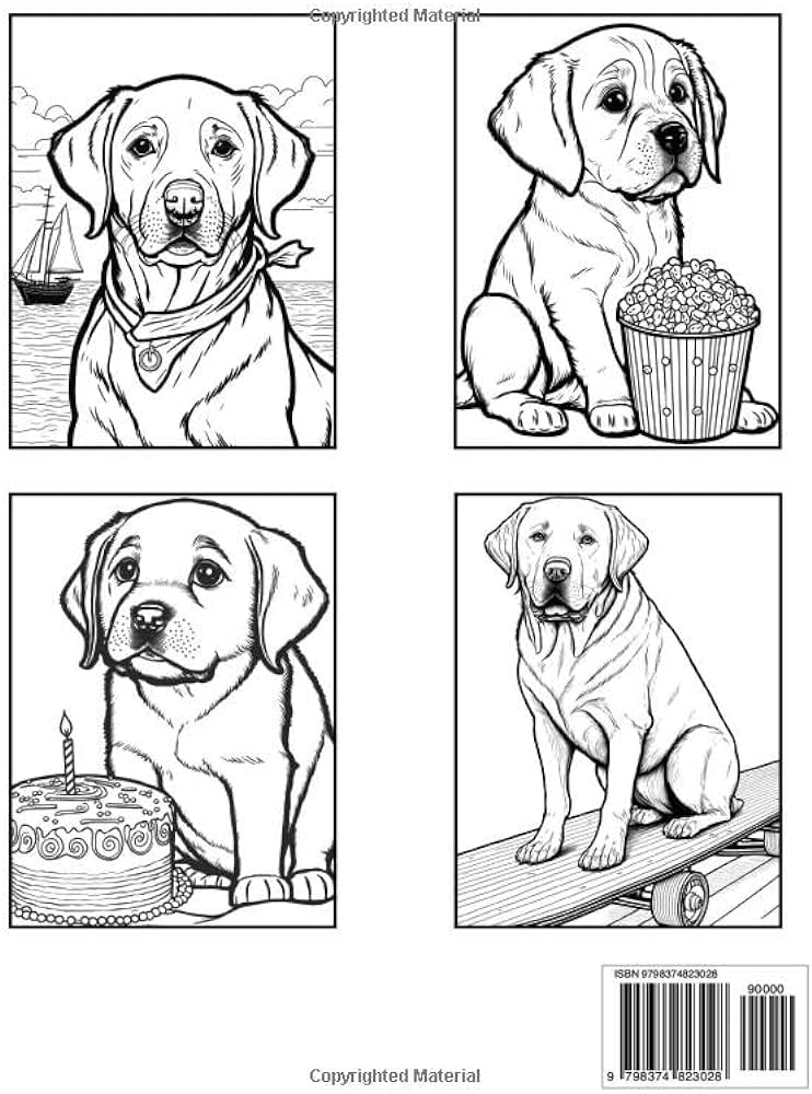 Labrador retriever coloring book fun and easy dogs coloring pages in cute style with labrador retriever for kids adults dogs coloring books for kids adults sommer alura books