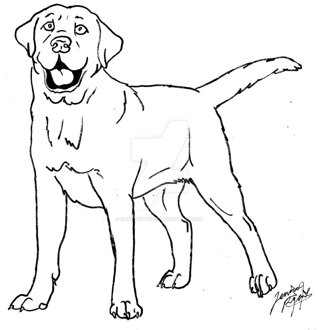 Labrador coloring page by canis