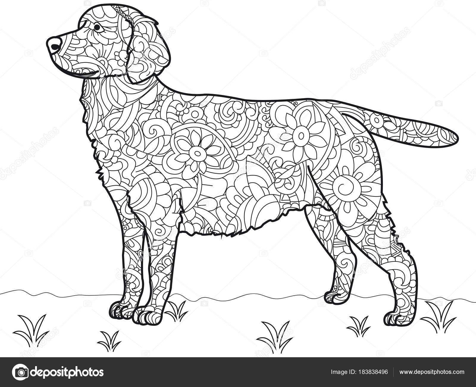 Dog labrador antistress coloring book vector stock vector by toricheksgmail