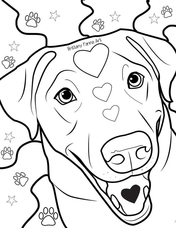 Coloring page lab coloring page dog coloring page dog