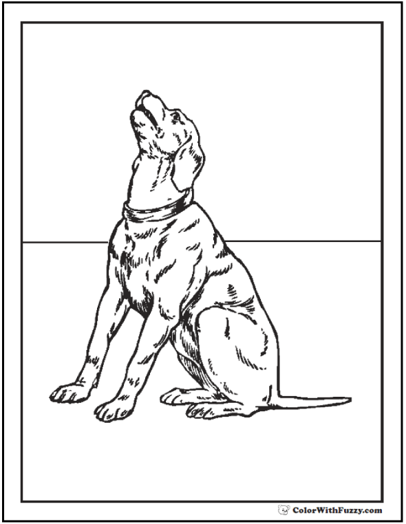 Dog coloring pages â breeds bones and dog houses