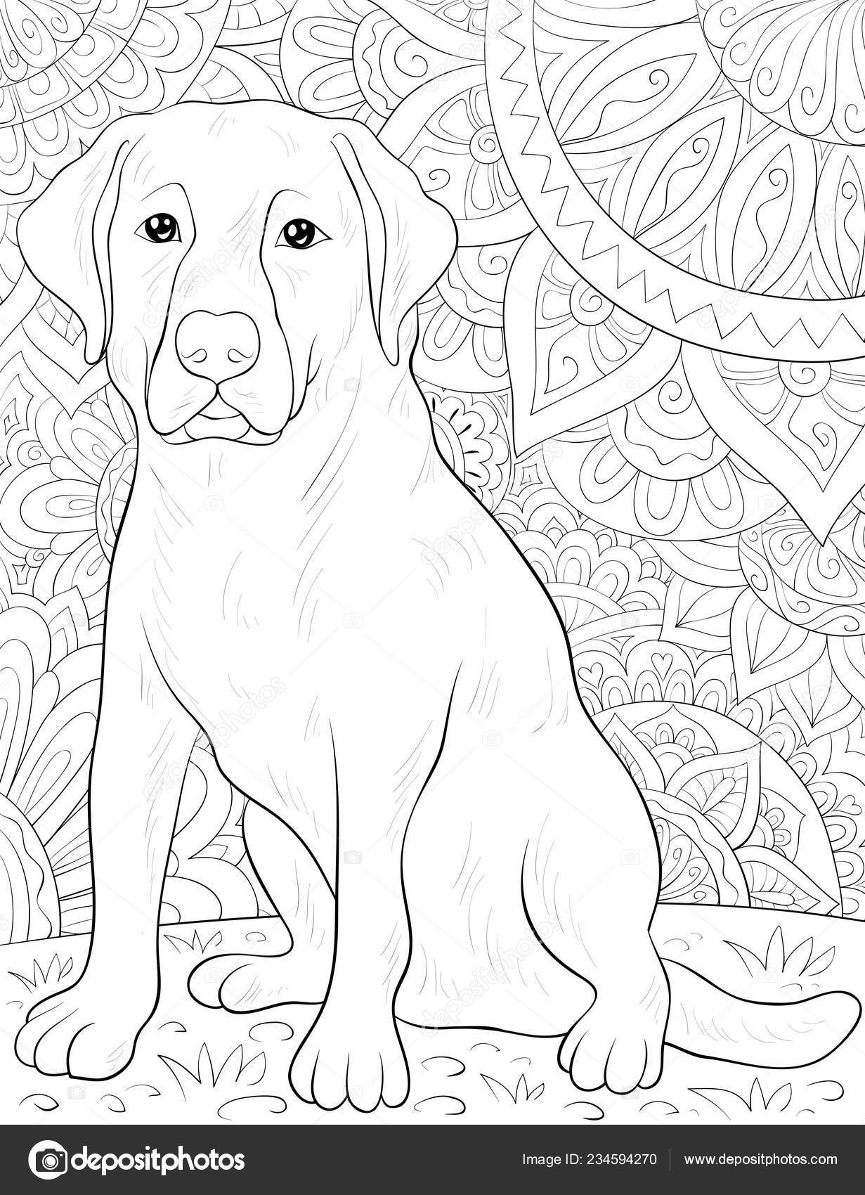 Cute dog abstract background ornaments image relaxing activity coloring book stock vector by nonuzza