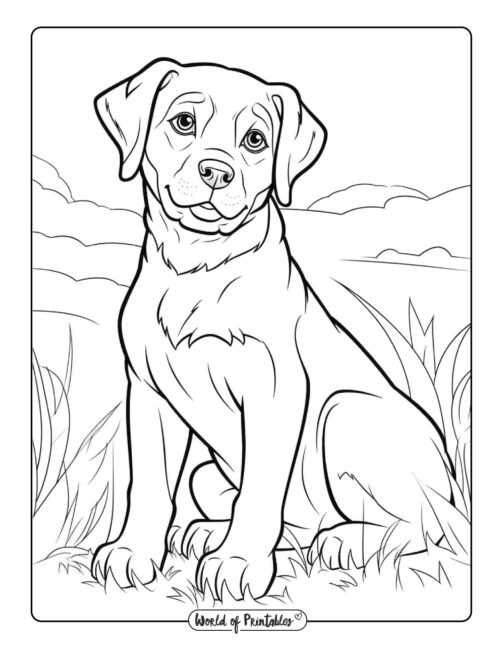 Dog coloring pages for kids adults