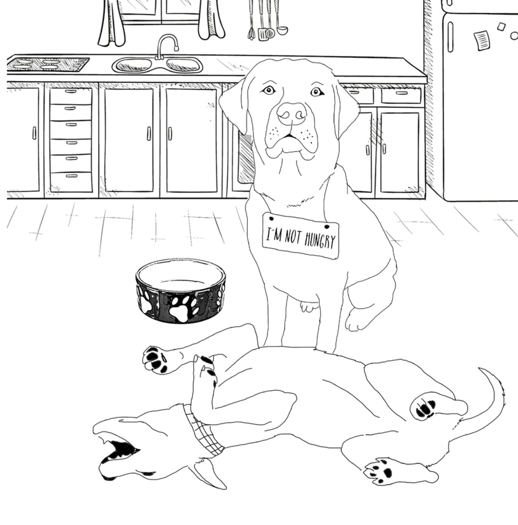 Labrador coloring book for adults digital â monsoon publishing usa