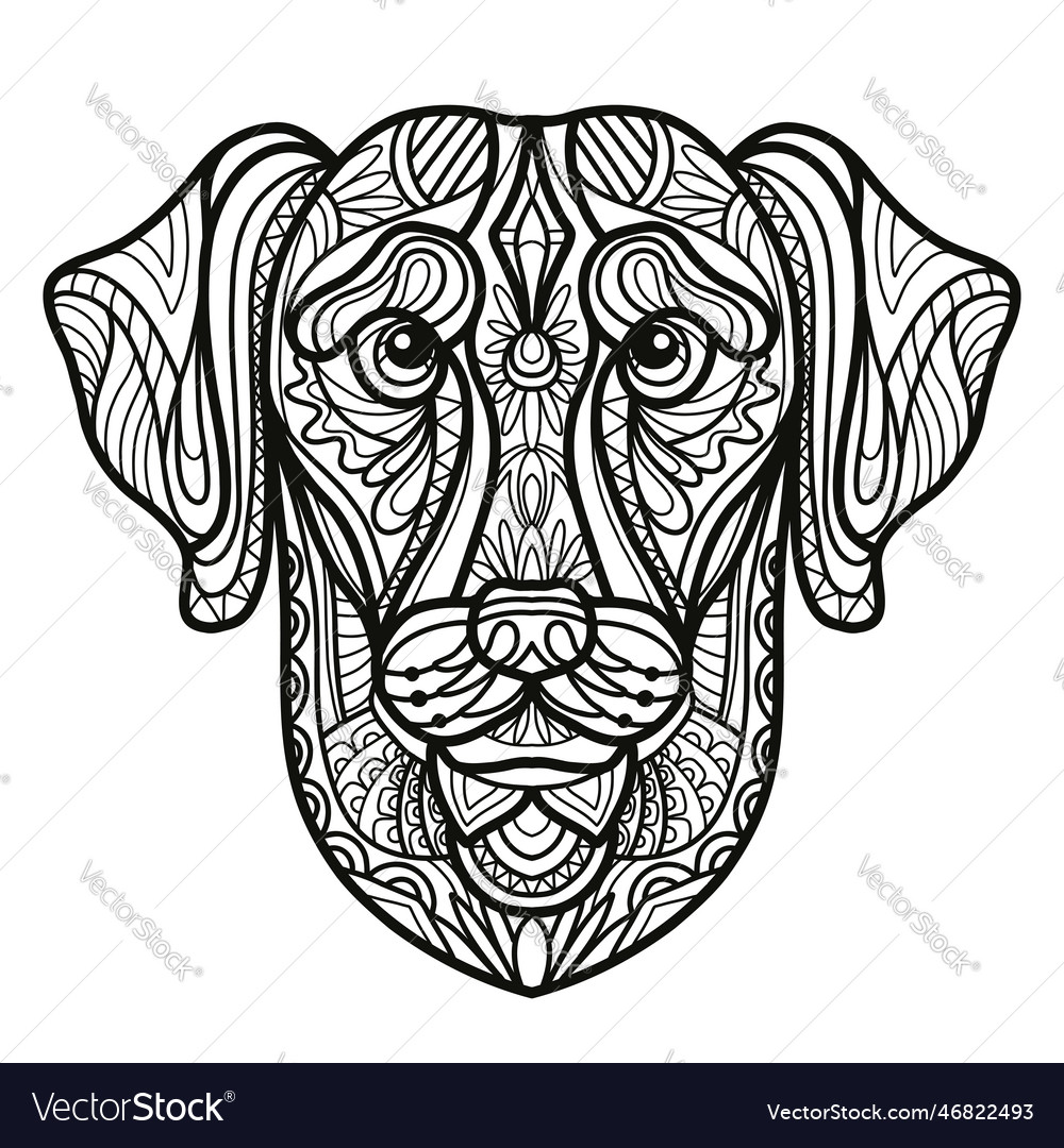 Labrador dog head coloring book page royalty free vector