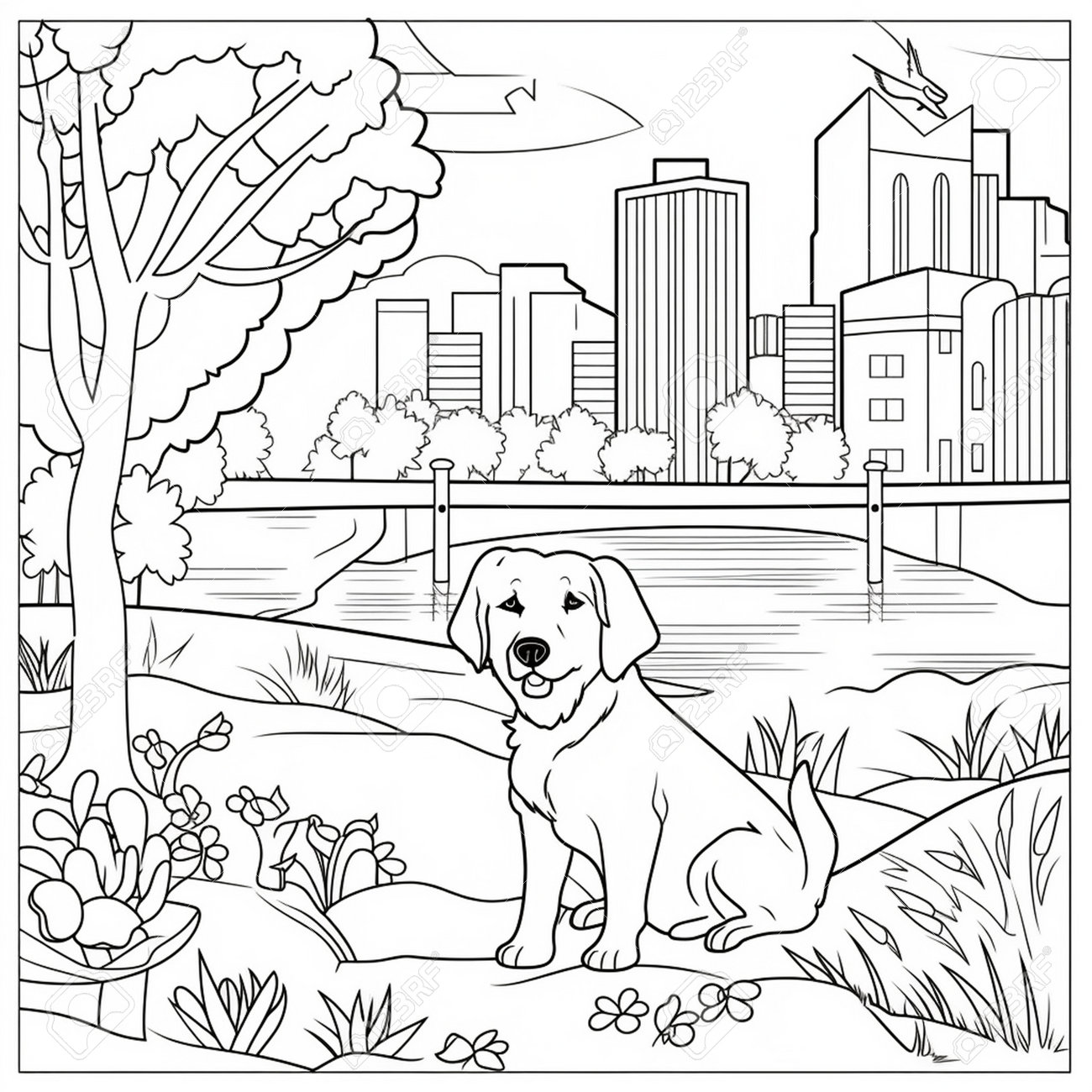 Coloring page outline of a labrador retriever in the park coloring book for adults and kids small kids coloring page drawing stock photo picture and royalty free image image