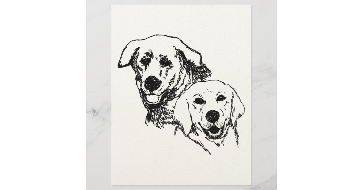 Coloring page two labrador dogs