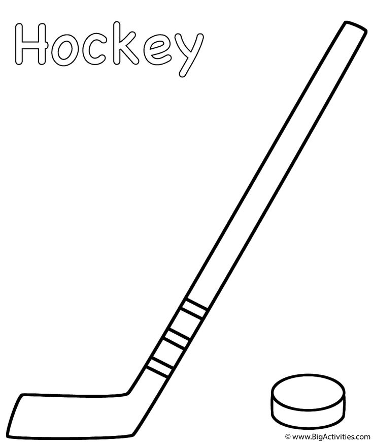 Hockey stick with puck