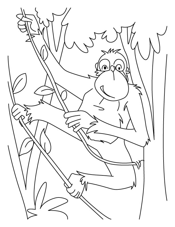 Chimpanzees rope ladder coloring pages download free chimpanzees rope ladder coloring pages for kids best coloring pages