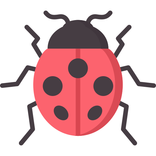 Ladybug