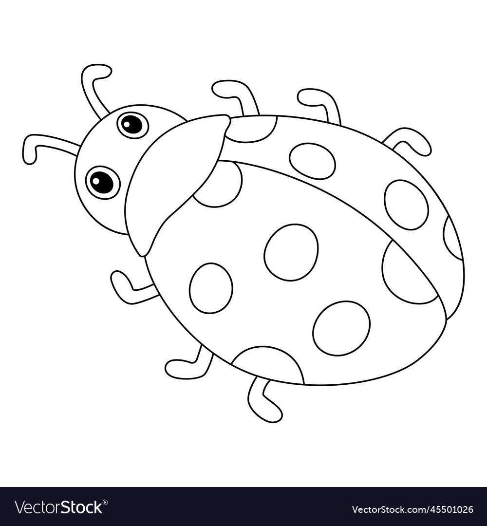 Spring ladybug isolated coloring page for kids vector image