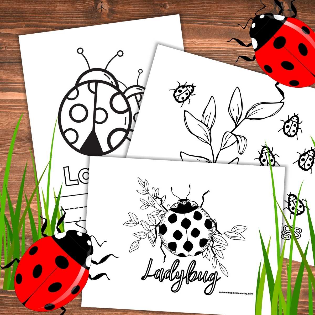 Ladybug coloring pages and printables for kids